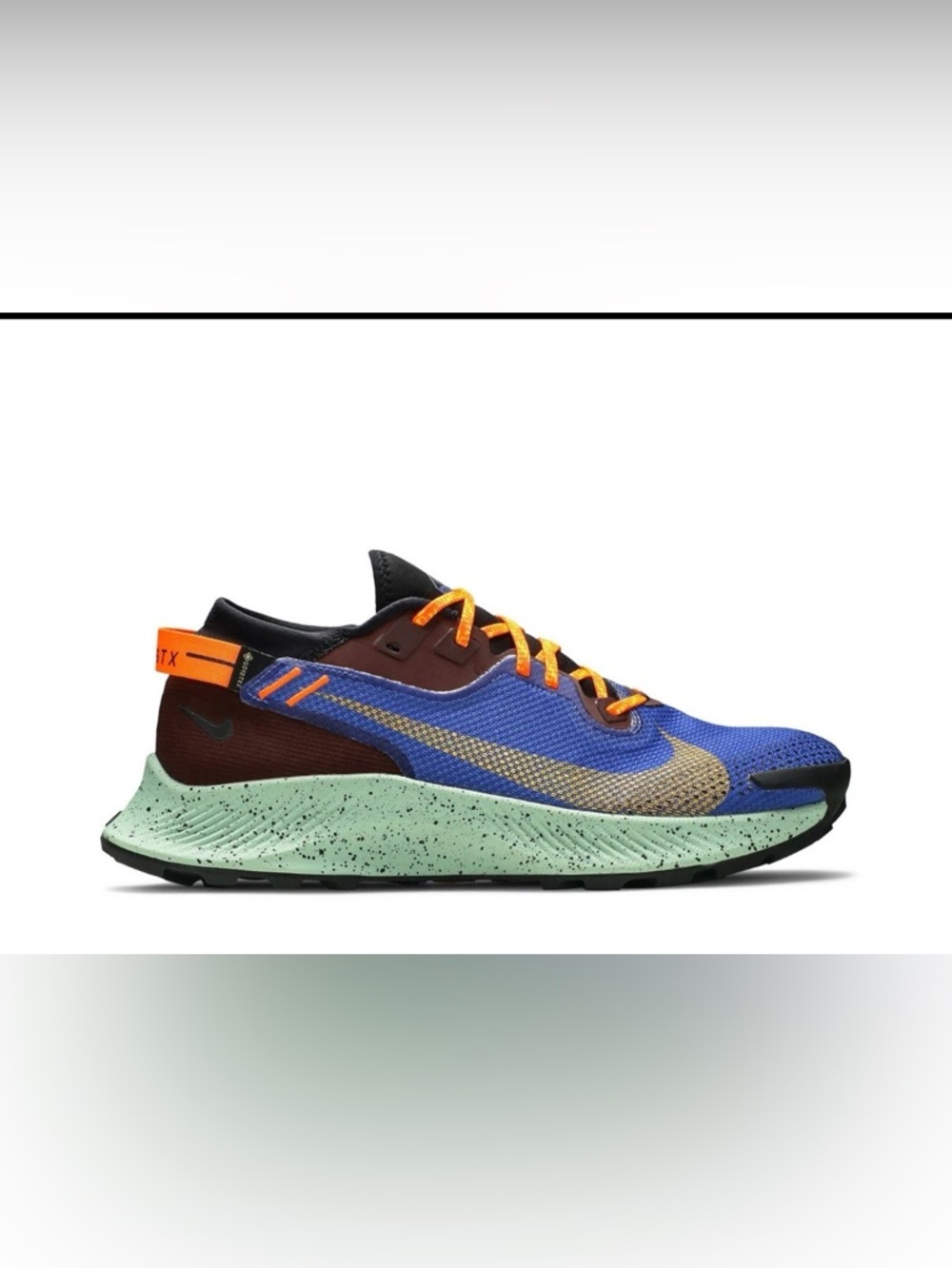 Nike Men’s Pegasus Trail Gore-Tex